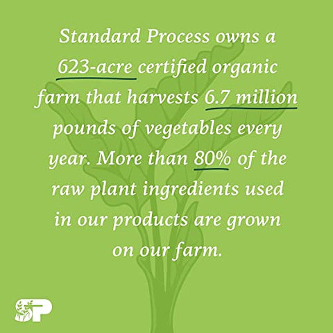 Standard Process Inc. - Standard Process Calcium Lactate – Suporte Imunológico e Fortalecimento Ósseo – Saúde Óssea e Suplemento Muscular com Magnésio e Cálcio – 360 Comprimidos