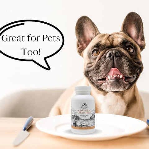 Leite de Cabra Colostrum | para Sistema Imunológico, Intestino e Desempenho Atlético Saudáveis, Alimentado com Grama, Rico em Imunoglobulinas – 50g (2900mg por Porção) - MT. CAPRA SINCE 1928