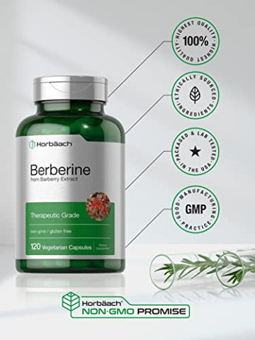 Horbäach - Horbaach Berberine | 120 Cápsulas | Extrato de Berberina HCl da Barberry | Não-OGM, Sem Glúten