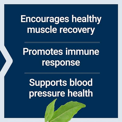 Arginine Ornithine em Pó, Promove Saúde Muscular – 100g - Life Extension