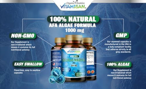 VITAMISAN - Celulas Madres 4 Frascos, 1000mg Stem Cell Plus, 480 Cápsulas Sem GMO, Sem Glúten | 4 Frascos, 1000mg Stem Cell Plus, 480 Cápsulas | Celulas Madres 1000mg Stem Cell Plus, 480 Cápsulas | Celulas Madres Stem Cell Plus 1000mg, 480 Cápsulas