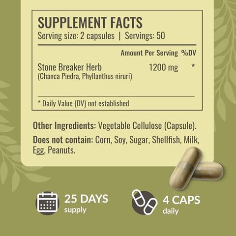 Cápsulas Quebra Pedra Chanca Piedra – 1200 mg Dissolvente de Pedras nos Rins – Limpeza da Vesícula Biliar e Suporte Renal – Vegano, Não-OGM – 100 Cápsulas - HERBAMAMA