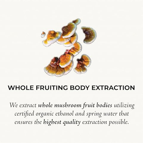 GO Mushrooms - Tintura de REISHI – Suplemento de Corpo Frutífero de Cogumelo Extraído em Dual para Apoiar o Descanso
