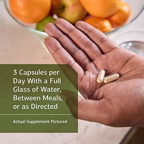 Standard Process Inc. - Suplemento Vascular de Raiz de Collinsonia da Standard Process – Saúde Digestiva, Suporte à Bexiga, Digestão e Suporte Renal com Raiz de Collinsonia – 150 Cápsulas