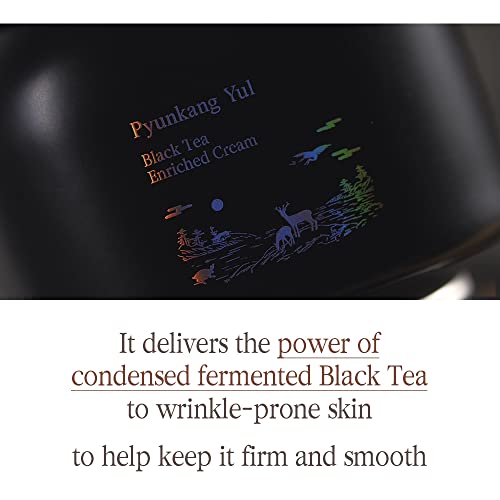 Creme Pyunkang Yul [PKY] Chá Preto Enriquecido para Anti-idade, Nutrição Concentrada para Cuidados com Linhas Finas com Kombucha, Extrato de Ginseng, Zero Irritação, Skincare Coreana (60ml)