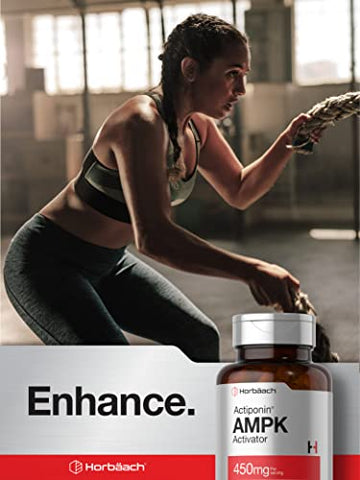 AMPK Ativador Metabólico 450 mg | 60 Cápsulas | Sem GMO, Sem Glúten - Horbäach