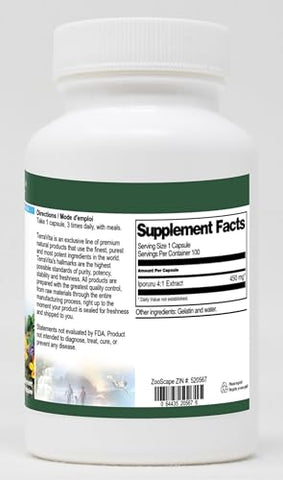 Terravita - Iporuru 4:1 – 450 mg (100 Cápsulas) – Marca Iporuru, Benefícios Naturais