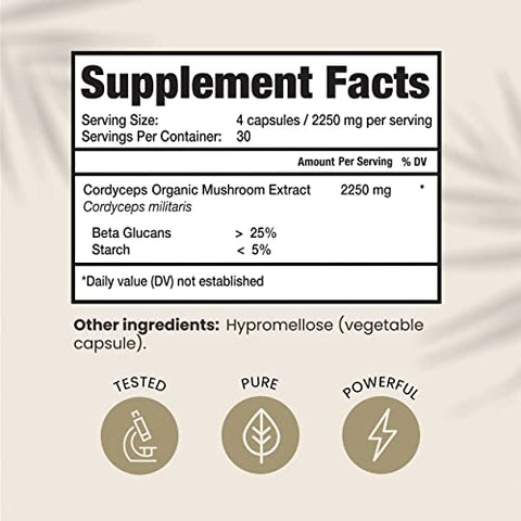 HPD Rx - Cordyceps Mushroom Extract Premium Orgânico para Energia, Resistência e Imunidade | 2250 mg, 240 Cápsulas, Pacote com 2 | Marca em Destaque