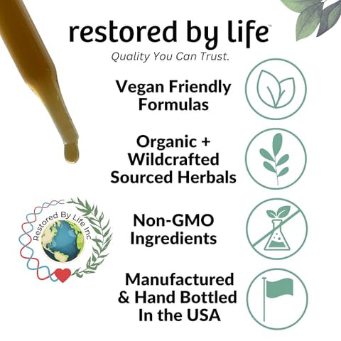 Restored By Life - Suporte para Trato Digestivo do Cólon | Extrato Líquido 2 ml | Fórmula de Apoio à Desintoxicação e Limpeza