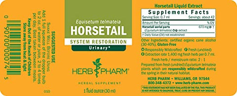 Extrato Líquido de Cavalinha para Suporte ao Sistema Urinário – 30ml - Herb Pharm