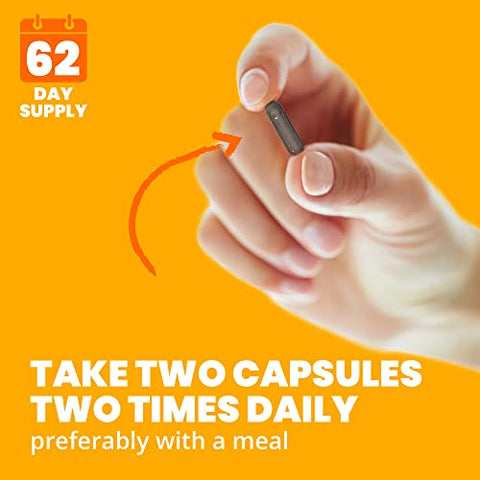 Saw Palmetto – Suporte à saúde masculina, 250 cápsulas, marca Sundown - Sundown