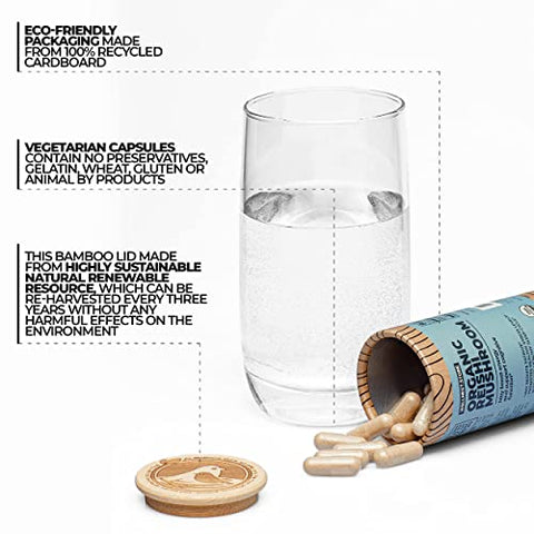 Wellnest.Store - Cápsulas de Suplemento de Cogumelo Reishi Orgânico | Extrato de Ganoderma, Suporte Imunológico | Aumenta Energia, Combate a Fadiga