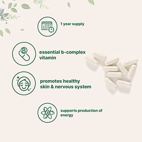 Pantothenic Acid Vitamin B5 500mg, 365 Cápsulas (1 Ano de Fornecimento), Complexo B, Suporte à Produção de Energia e Sistema Nervoso - Micro Ingredients
