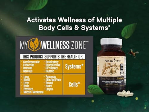 Ultimate Bee Propolis Certificado NSF | Propolis Vermelha, Verde e Marrom Premium do Brasil | com Flavonoides e PWE | Apicultura Ética | 100% Natural - NaturaNectar