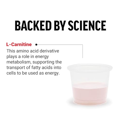L-Carnitina Líquida 3000mg – Transforme Gordura em Energia, Recuperação Muscular e Energia Celular – Máxima Potência, Não-OGM - Force Factor