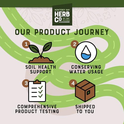 MONTEREY BAY HERB CO - Monterey Bay Herb Co. Chlorella em Pó | Adicione ao Chá | 100g