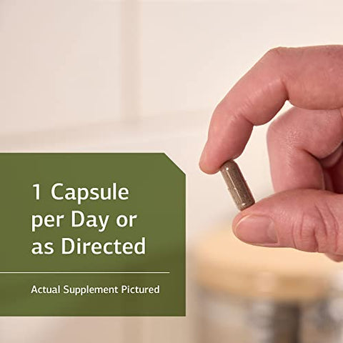 Standard Process Inc. - Standard Process OPC Synergy – Saúde Cognitiva, Suporte para o Cérebro e Olhos com Mirtilo, Extrato de Semente de Uva, Chá Verde em Pó e mais