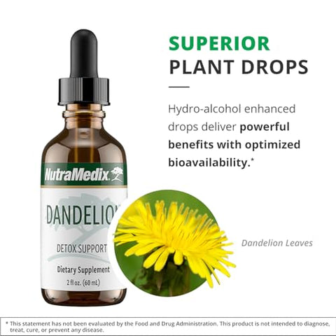 Dandelion Detox Support – Tintura para Saúde do Fígado e Intestino, Suporte Antioxidante – Suplemento de Suporte ao Fígado com Folha de Dente-de-leão para Uso Diário (60ml) - NutraMedix