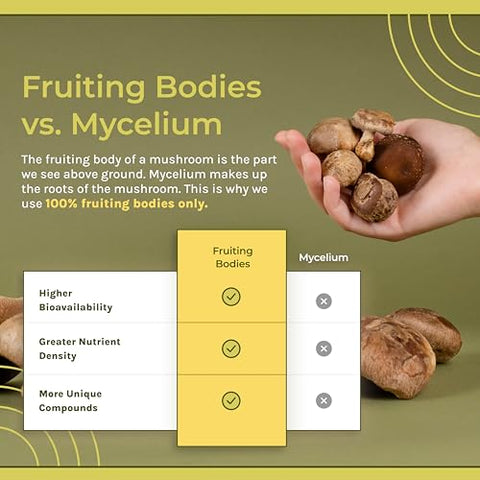 Cápsulas de Extrato de 7 Cogumelos Sagrados – Cabeça de Leão, Cordyceps, Reishi, Cauda de Peru, Chaga, Maitake e Shiitake – 100% Corpos Frutíferos, Fornecimento de 30 Dias - Naturealm