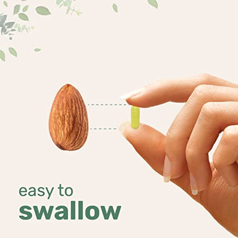 Quercetina com Vitamina C e Zinco, 240 Cápsulas | Quercetina 500mg, Vitamina C 500mg, Zinco 50mg (Picolinato, Citrato, Glicinato, Gluconato) | Imunidade Completa - Micro Ingredients