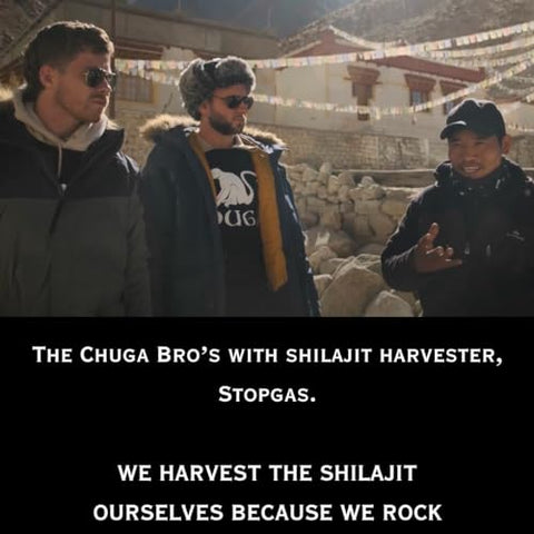 Chuga Shilajit - Chuga Pure Himalayan Shilajit para Homens – Energia Natural e Vitalidade | 30g
