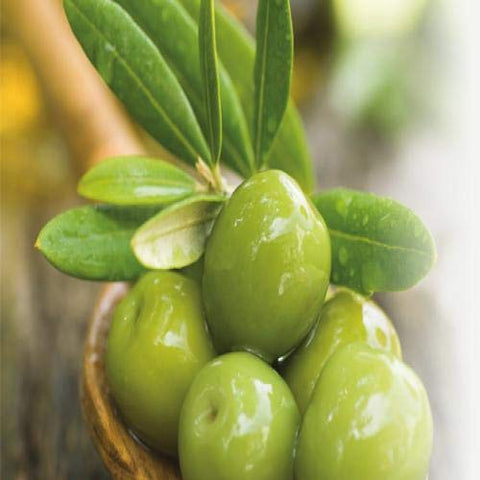 Fruits & Passion - Frutas Frescas: Variedade de Sabores Naturais em Embalagens Práticas