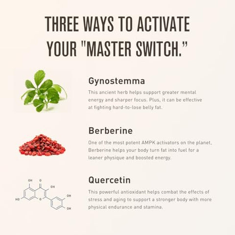 ROUNDHOUSE PROVISION - Queime gordura, aumente a energia e promova o bem-estar com Berberina, Gynostemma e Quercetina. Combo Três Golpes – 30 dias de fornecimento (60 cápsulas) para gerenciamento de peso por Chuck Norris
