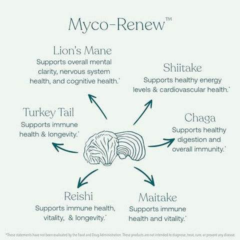 Mushroom Myco-Renew Blend – 60 Cápsulas – Suporte Diário ao Sistema Imunológico – Orgânico - True Grace