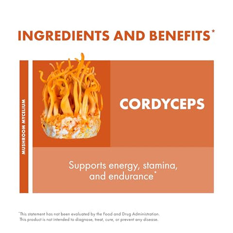 Cápsulas Host Defense Cordyceps – Imunidade | 60 cápsulas | 500mg