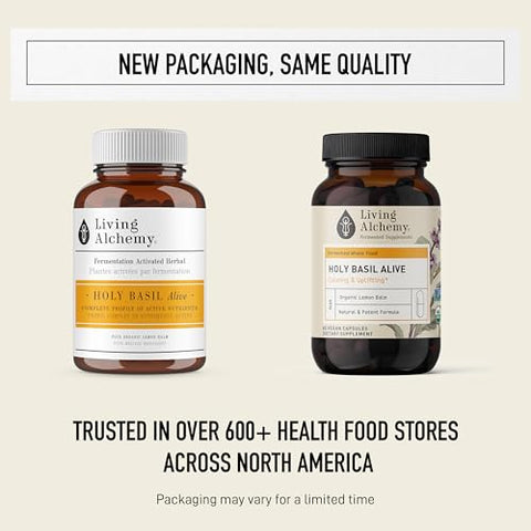 Fermentado de Manjericão Sagrado – 60g - Living Alchemy