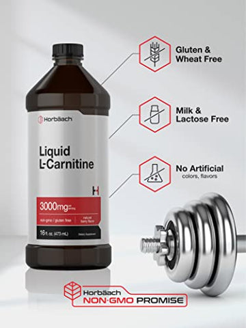 L-Carnitine Líquido 473 ml | 3000 mg | Sabor de Frutas Vermelhas | Fórmula Vegetariana | Suplemento Sem OGM e Sem Glúten - Horbäach