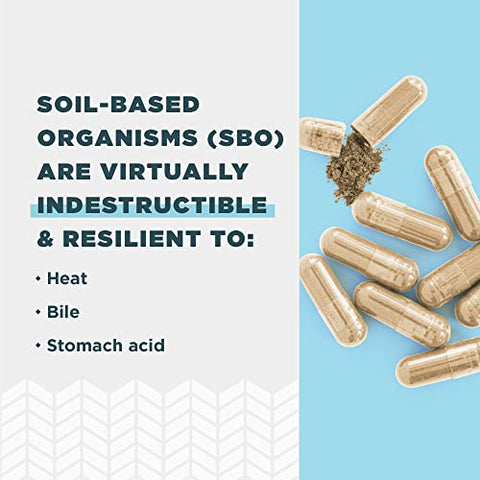 Probióticos Ancient Nutrition, SBO Probiotics Gut Restore 60 Ct, Promove Saúde Intestinal, Suporte Digestivo e Imunológico, Livre de Glúten, Mistura de Superfoods Antigos, 25 Bilhões de UFCs* Por