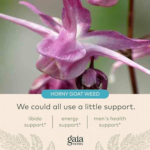 Libido Masculino com Saw Palmetto, Horny Goat Weed e Maca – 60 cápsulas - Gaia Herbs