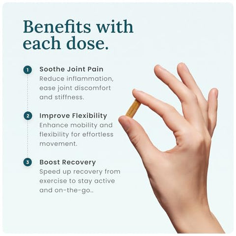 PRIMONUTRA - Suplemento para Suporte Articular e Recuperação Muscular – Boswellia Serrata, Hidrogênio Molecular (60 cápsulas, Curcumina)