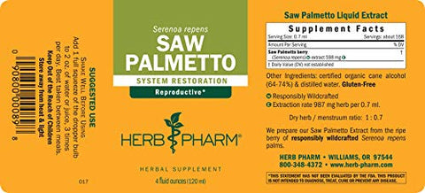 Extrato Líquido de Bagas de Saw Palmetto para Suporte à Próstata – 120 ml - Herb Pharm