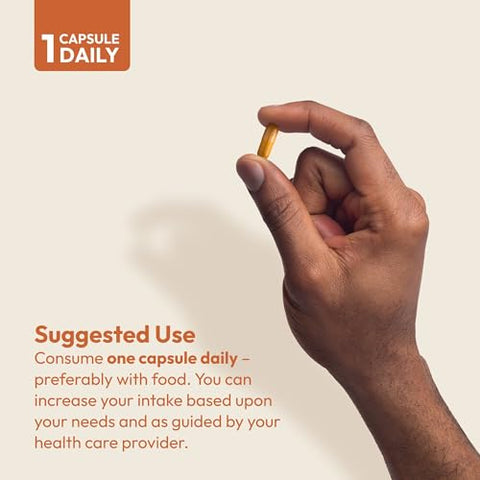 Turmeric 400-240 Cápsulas – 95%% Curcuminoides como Complexo de Fosfolipídeos para Benefícios Ótimos e Maior Absorção, Extrato Padronizado de Alta Potência, Pequeno e Fácil de Usar - ANDREW LESSMAN