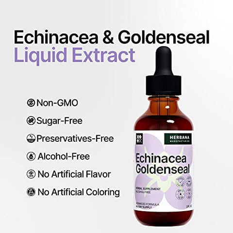 HERBANA MANUFACTURING - Echinacea e Goldenseal Extrato Líquido 60ml – Suplemento Herbal Natural – Suporte Imunológico – Melhora o Sono | Aumenta a Energia – Alta Potência – Fornecimento de 45 Dias