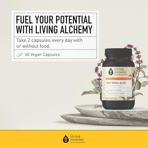 Fermentado de Manjericão Sagrado – 60g - Living Alchemy