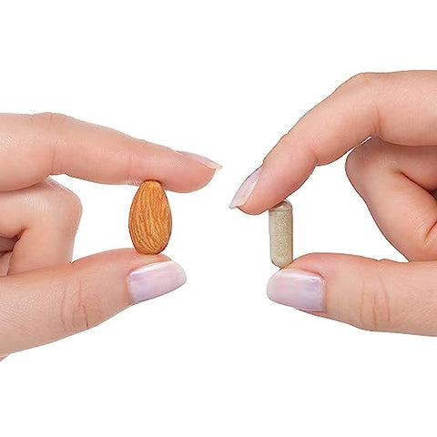 Optimal Iron – Suporte ao Metabolismo de Ferro | 60 cápsulas | 30mg de Ferro por dose | Aumenta a Absorção de Ferro | Marca Seeking Health - Seeking Health