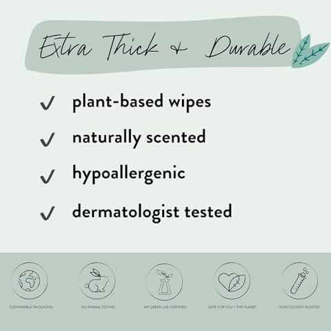 Toalhas Umedecidas The Honest Company Hydrate Cleanse com Aroma Natural | Multiuso, Hipoalergênicas | 99% Água, à Base de Plantas | Aloe Vera e Pepino, 240 Unidades