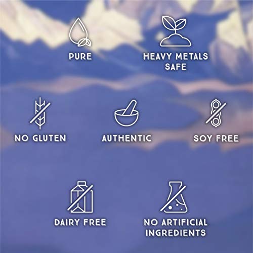 Gotas Líquidas – Suporte Imunológico, Energia, Desintoxicação, Anti-Envelhecimento e Bem-Estar – Minerais Traços Naturais - Pure Himalayan Shilajit