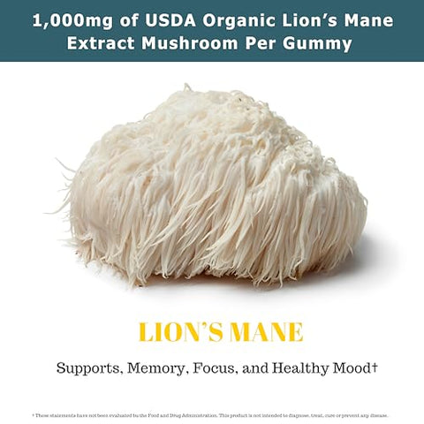 Fundamental Fungi - Gomas de Cogumelo do Leão Orgânico | 90 Porções | Saúde Cerebral, Foco, Clareza