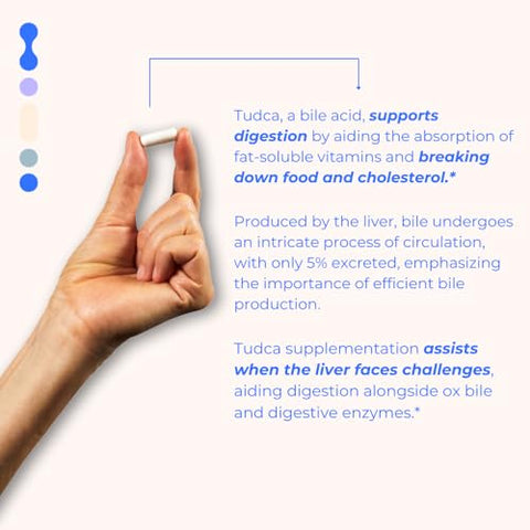 Tudca para Saúde do Fígado | Suporte Hepático para Desintoxicação e Limpeza | Ácido Tauroursodeoxicólico Puro | Saúde Cognitiva e Digestiva | 60 Cápsulas - BodyBio