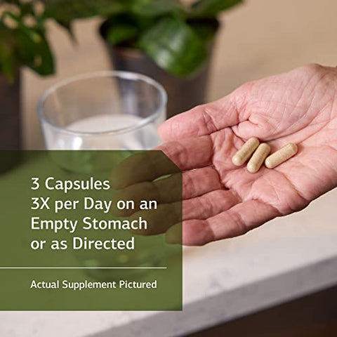 Standard Process Inc. - Standard Process Gastro-Fiber – Saúde Digestiva com Raiz de Collinsonia, Pectina de Maçã e Semente de Funcho – 150 Cápsulas