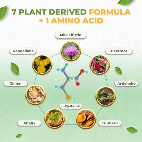 VITAL NUTRITIVE - Vital Liver Support – Limpeza Premium do Fígado para Desintoxicação – Marca Vital