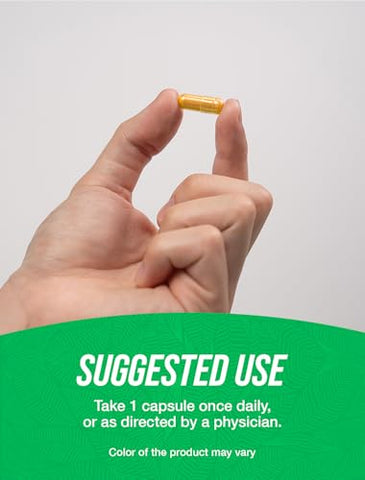 com Cápsulas de Extrato de Cúrcuma 500mg – Suplementos de Curcumina, Cápsulas de Cúrcuma Curcumina – Sem Glúten, 1 Cápsula por Porção, 240 Cápsulas Vegetais (Embalagem de 1) - BulkSupplements