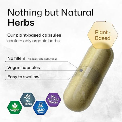 BIO KRAUTER - Suplemento de Suporte Cerebral – Ashwagandha, Panax Ginseng e Ginkgo Biloba – 1200 mg – 100 Cápsulas Veganas, Sem Preenchedores