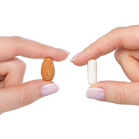 Acetyl-L-Carnitine – Suplemento de Acetyl-L-Carnitine – Suporta Energia, Metabolismo Saudável de Gorduras - Seeking Health