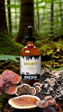 Tintura de Cogumelo Imunidade Orgânica 60ml - North Spore