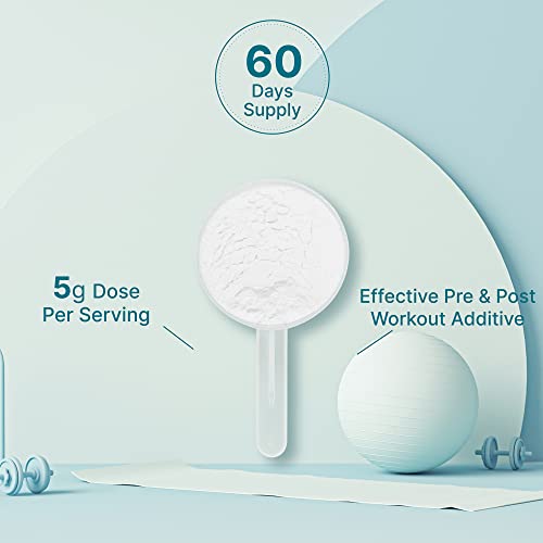 DEAL SUPPLEMENT - Creatina Monohidratada em Pó 300g (60 Porções), Sem Sabor | Pura | Creatina Micronizada em Pó, 5000mg (5g) por Porção, Suprimento de 2 Meses, Vegano | Keto, Não-OGM, Sem Preenchedores, Sem